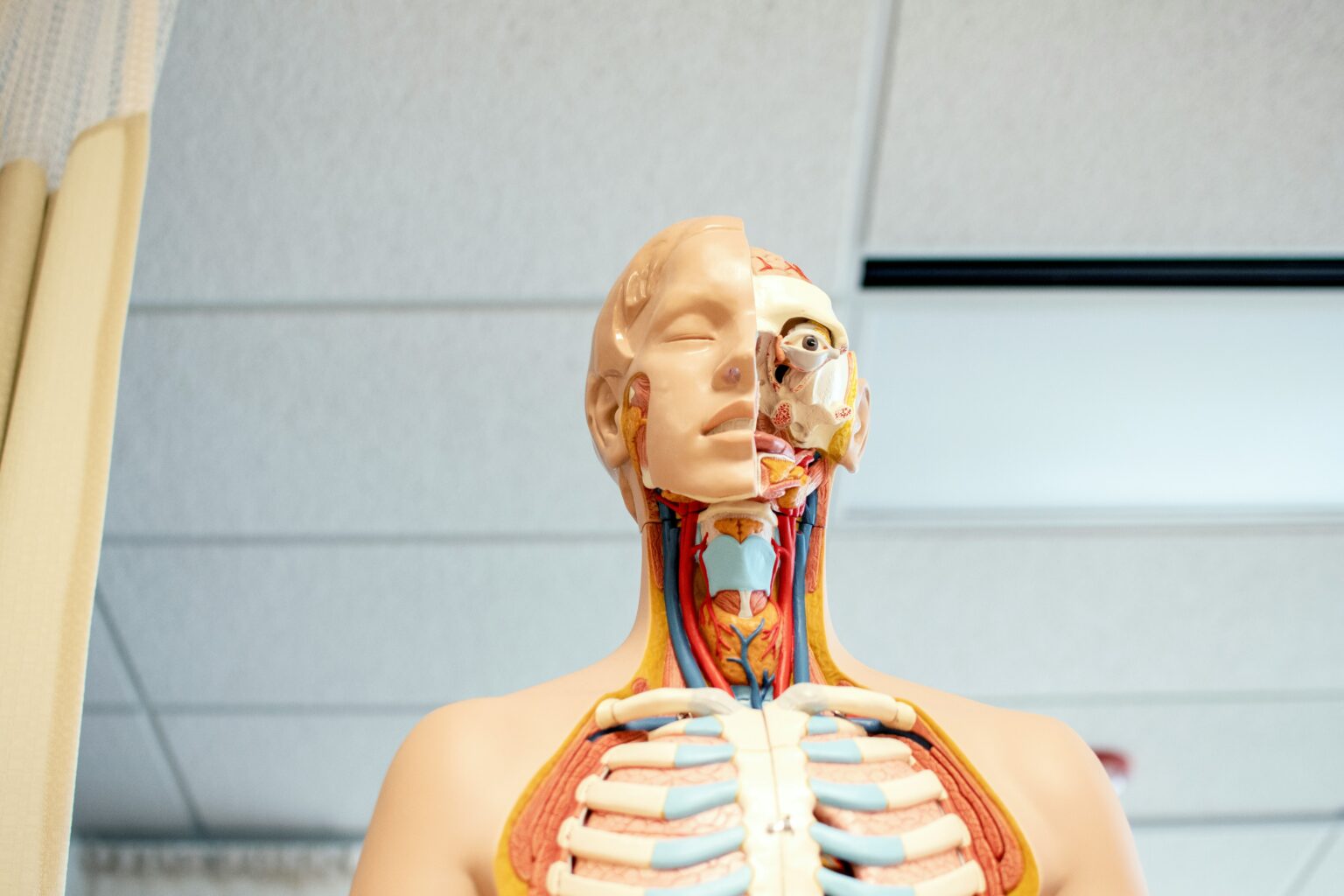 throat-cancer-what-is-complications-diagnosis-and-treatment-534759 throat-cancer-what-is-complications-diagnosis-and-treatment-534759