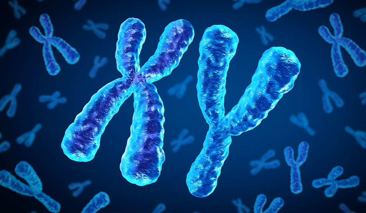 Chromosome