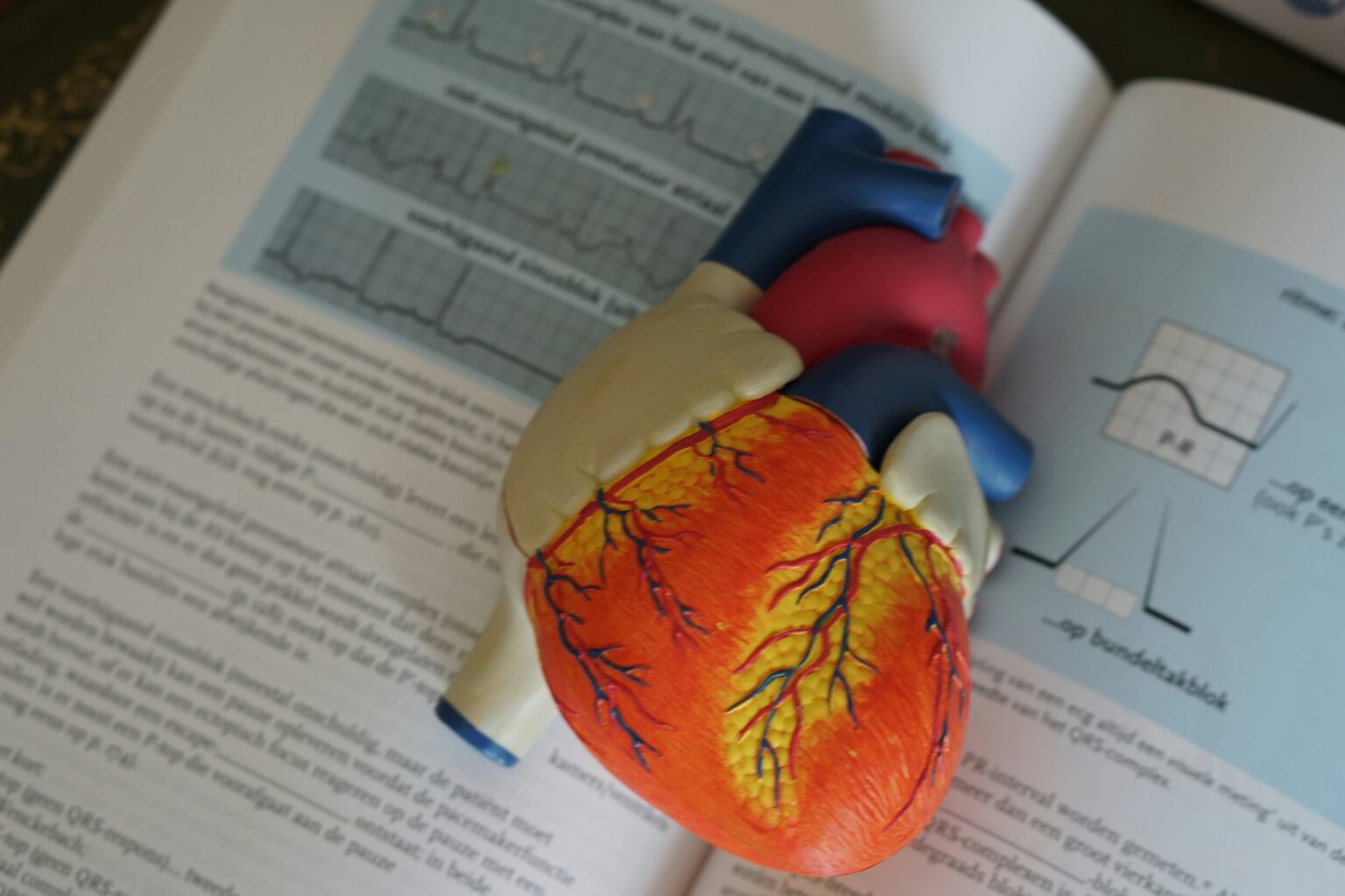 dyspnea-what-is-diagnosis-treatment-and-prognosis-349671