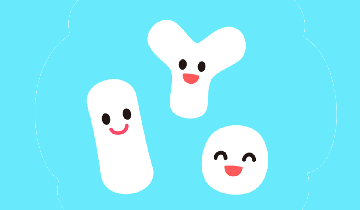 Lactic Acid: What Is, Functions, Uses, Bacteria, and Risks