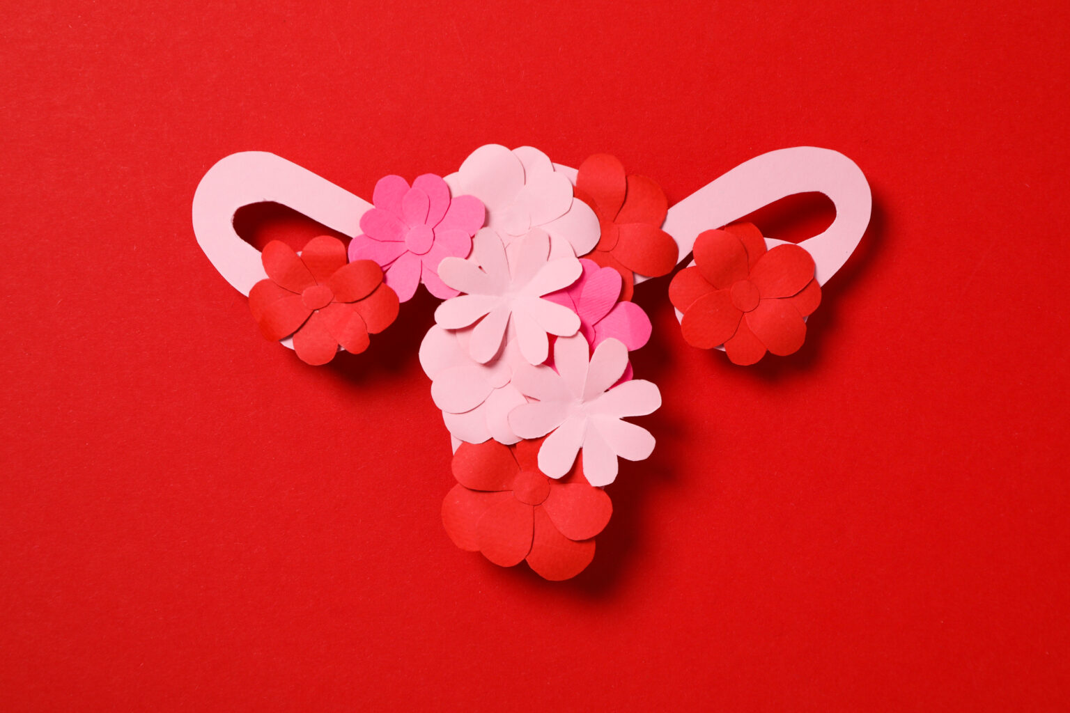 Women’s health and women’s healthcare concept with uterus
