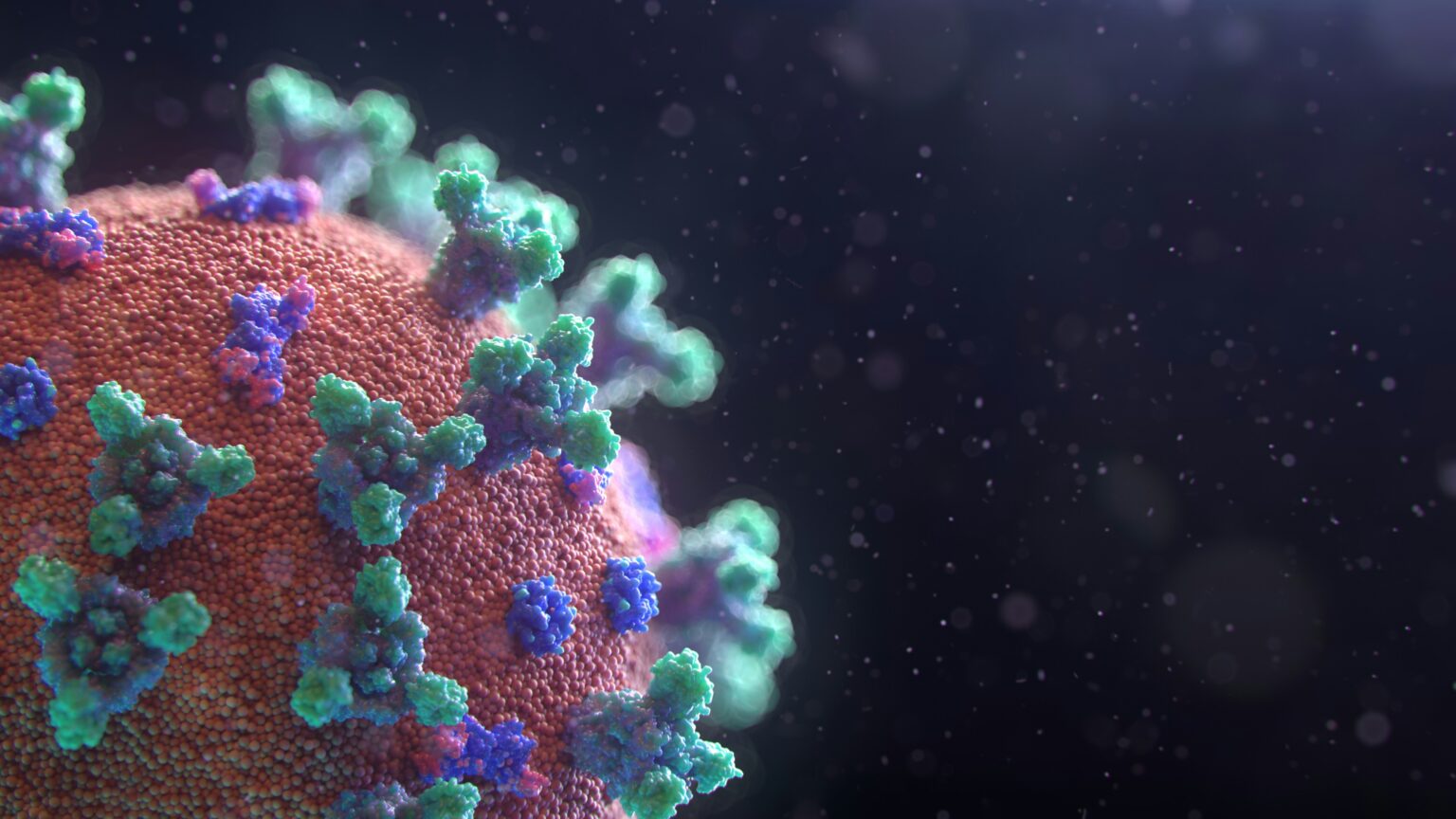 polio-what-is-transmission-symptoms-treatment-and-vaccination-761590 polio-what-is-transmission-symptoms-treatment-and-vaccination-761590