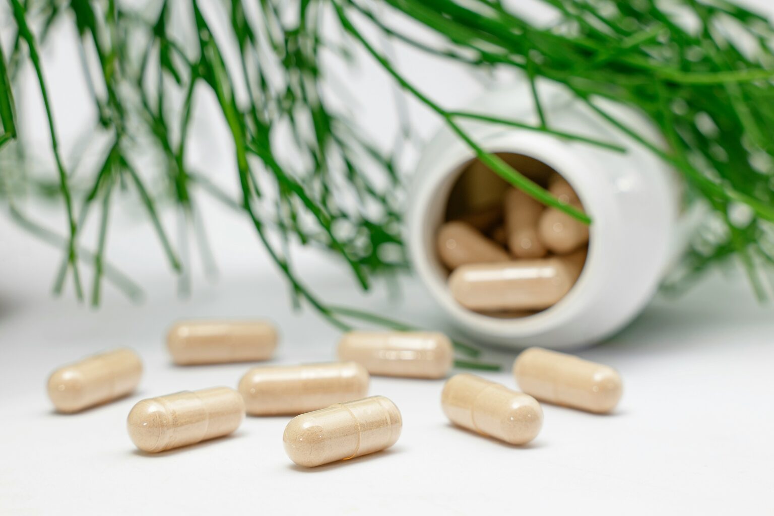 zinc-what-is-functions-deficiency-dosage-and-sources-012034 zinc-what-is-functions-deficiency-dosage-and-sources-012034