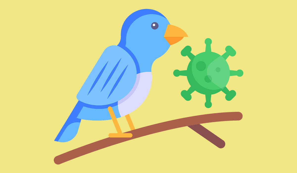 Bird Flu: What Is, Causes, Symptoms, Diagnosis, and Treatment