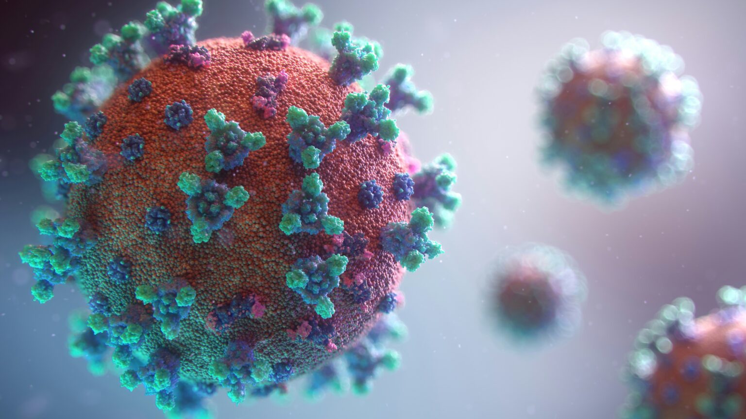 epidemiologist-who-is-diagnosis-methods-and-treated-diseases-880559 epidemiologist-who-is-diagnosis-methods-and-treated-diseases-880559