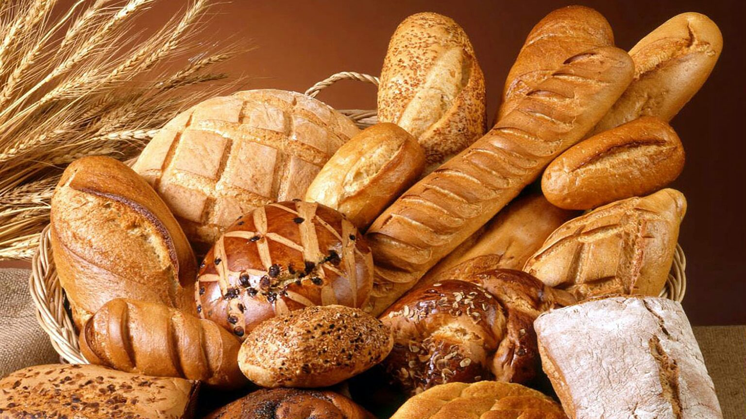 food-allergy-what-is-causes-epidemiology-symptoms-and-treatment-038081 food-allergy-what-is-causes-epidemiology-symptoms-and-treatment-038081
