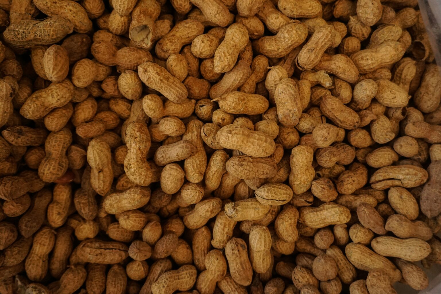 food-allergy-what-is-causes-epidemiology-symptoms-and-treatment-065394 food-allergy-what-is-causes-epidemiology-symptoms-and-treatment-065394