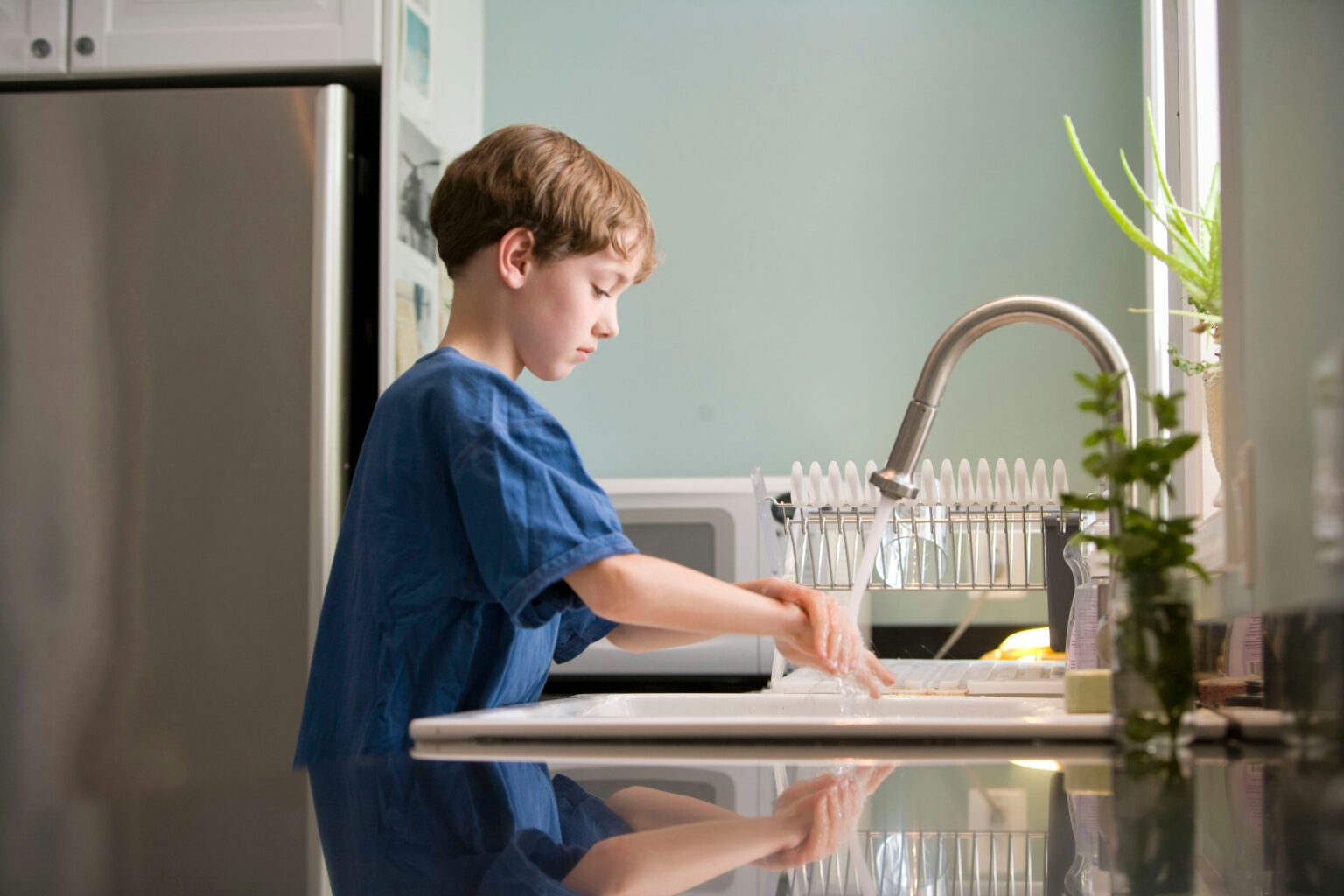 food-allergy-what-is-causes-epidemiology-symptoms-and-treatment-157693 food-allergy-what-is-causes-epidemiology-symptoms-and-treatment-157693