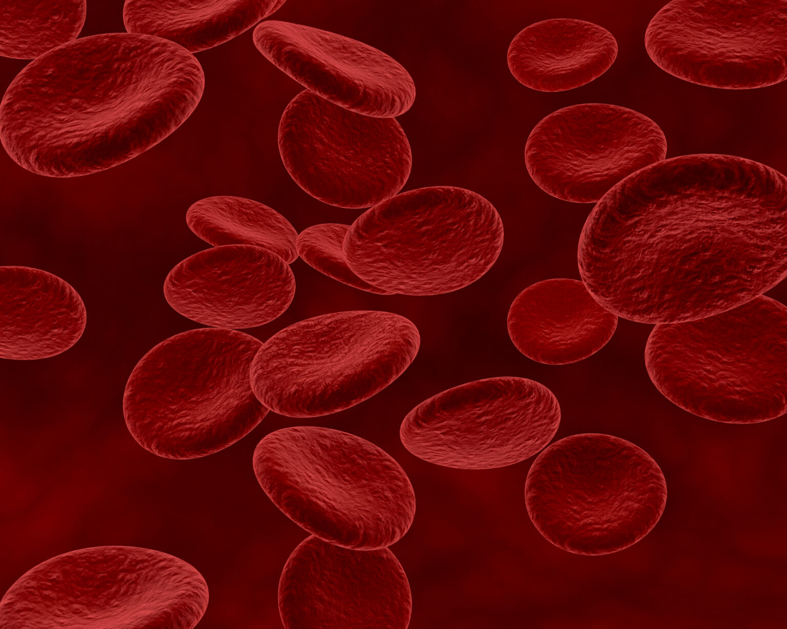 blood cells and bacteria blood cells and bacteria