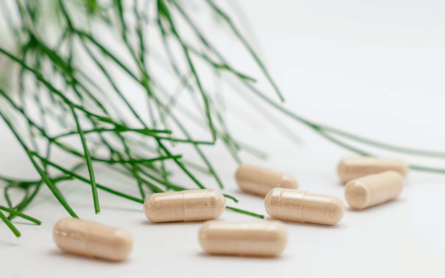 supliful-supplements-on-demand-2qI_Vb_FKyg-unsplash supliful-supplements-on-demand-2qI_Vb_FKyg-unsplash