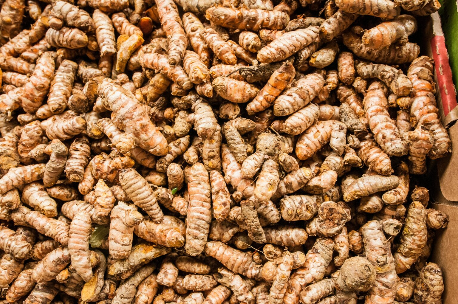 turmeric-what-is-health-benefits-nutritional-characteristics-use-and-safety-222592