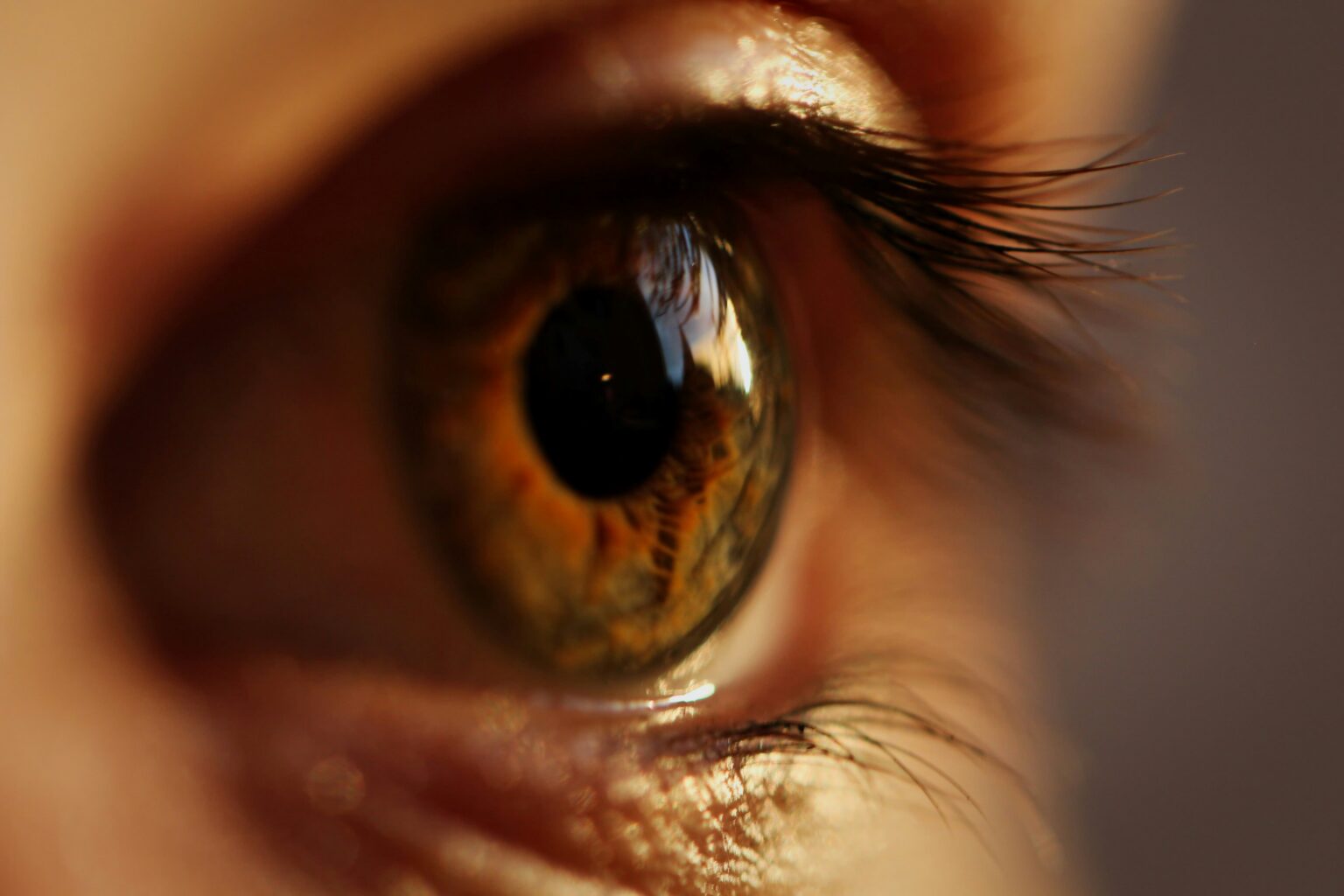 marc-schulte-KJCyvlA_aAQ-unsplash marc-schulte-KJCyvlA_aAQ-unsplash