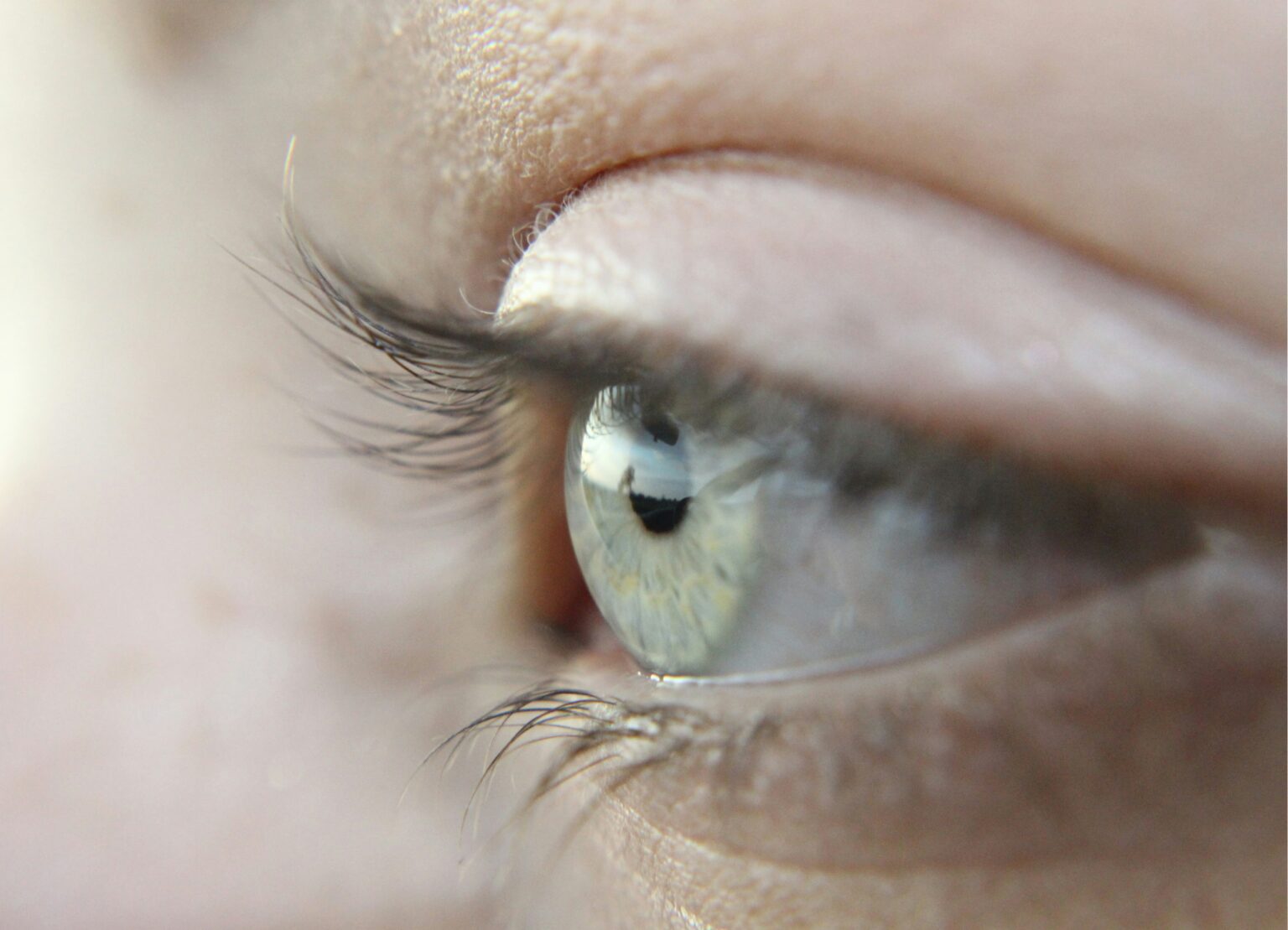 max-muselmann-WcitC-UFFds-unsplash max-muselmann-WcitC-UFFds-unsplash