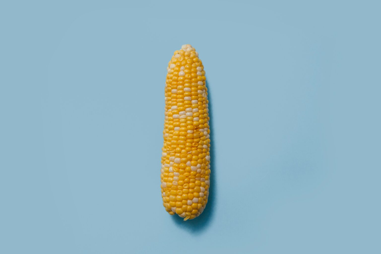 charlesdeluvio-dDva_3ORBr8-unsplash charlesdeluvio-dDva_3ORBr8-unsplash
