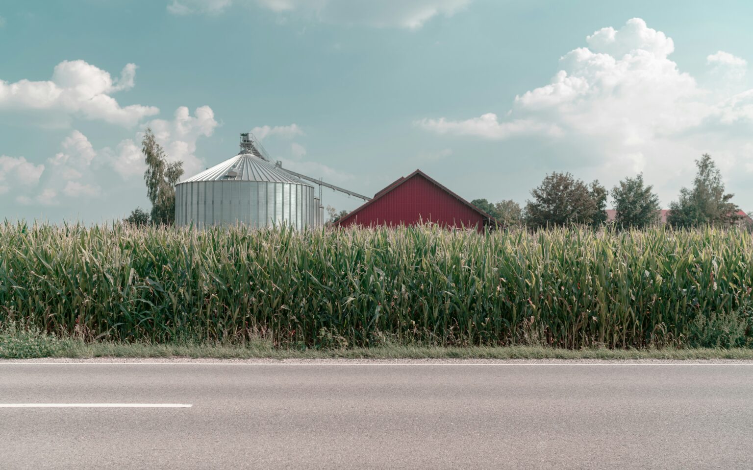 julian-scholl-HGJqVcbQLgk-unsplash julian-scholl-HGJqVcbQLgk-unsplash