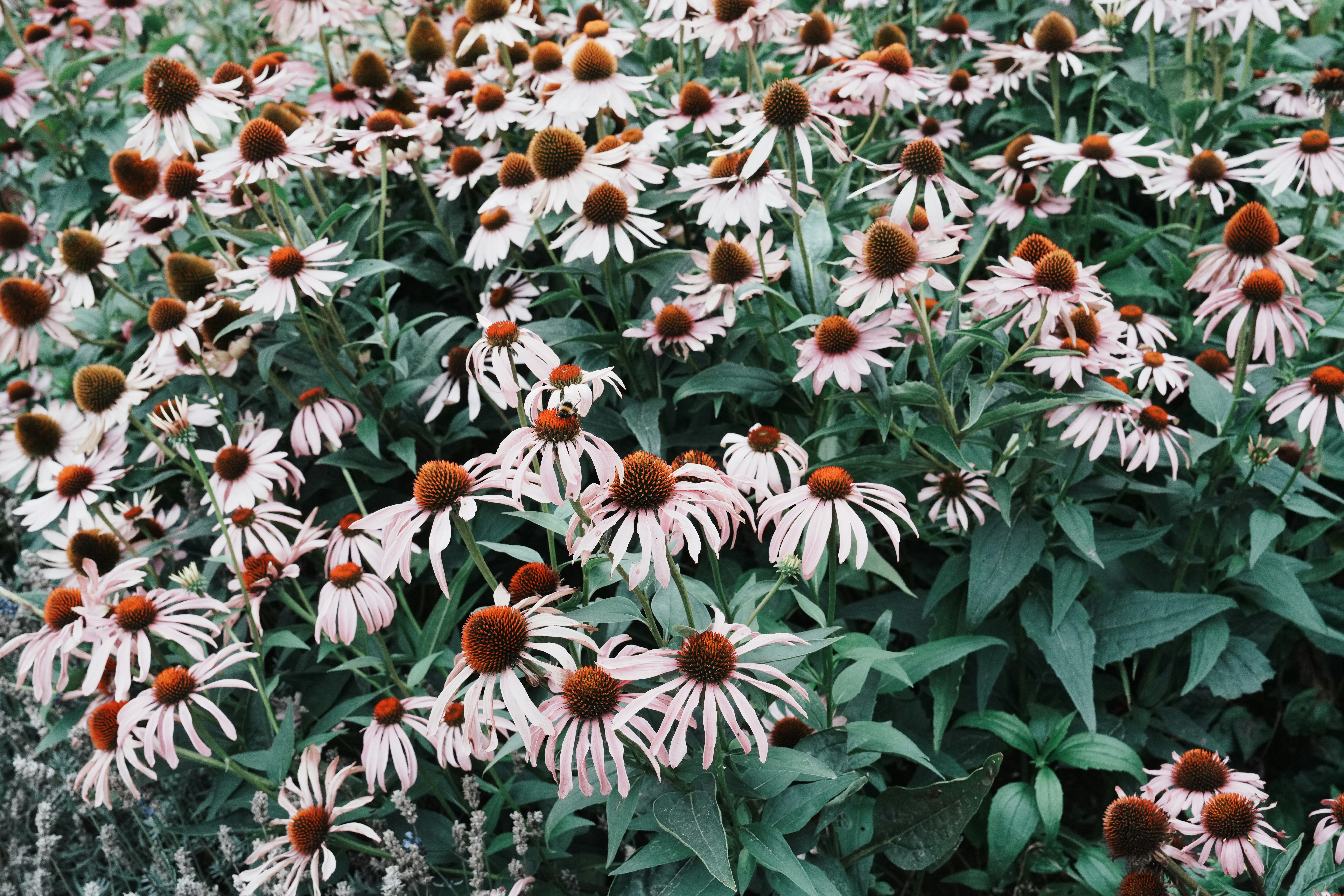 anya-chernik-rESYZIhkYbI-unsplash anya-chernik-rESYZIhkYbI-unsplash