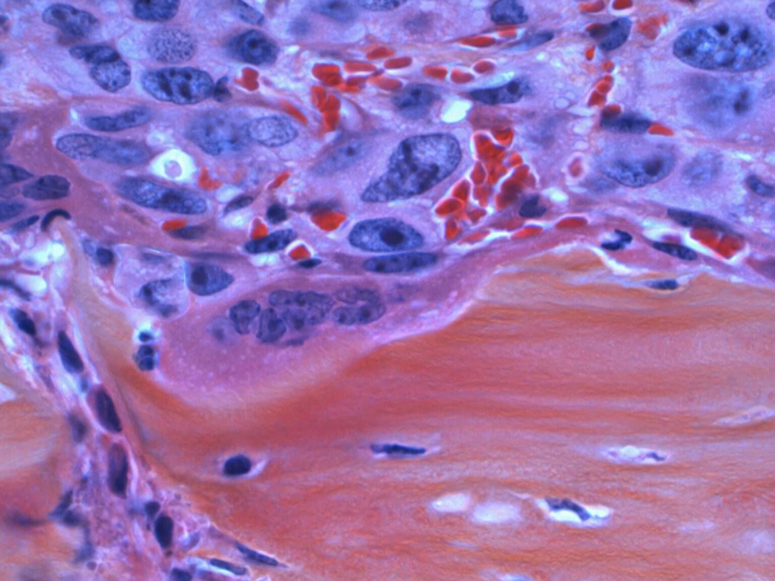 national-cancer-institute-SP2C8o2EZBw-unsplash national-cancer-institute-SP2C8o2EZBw-unsplash