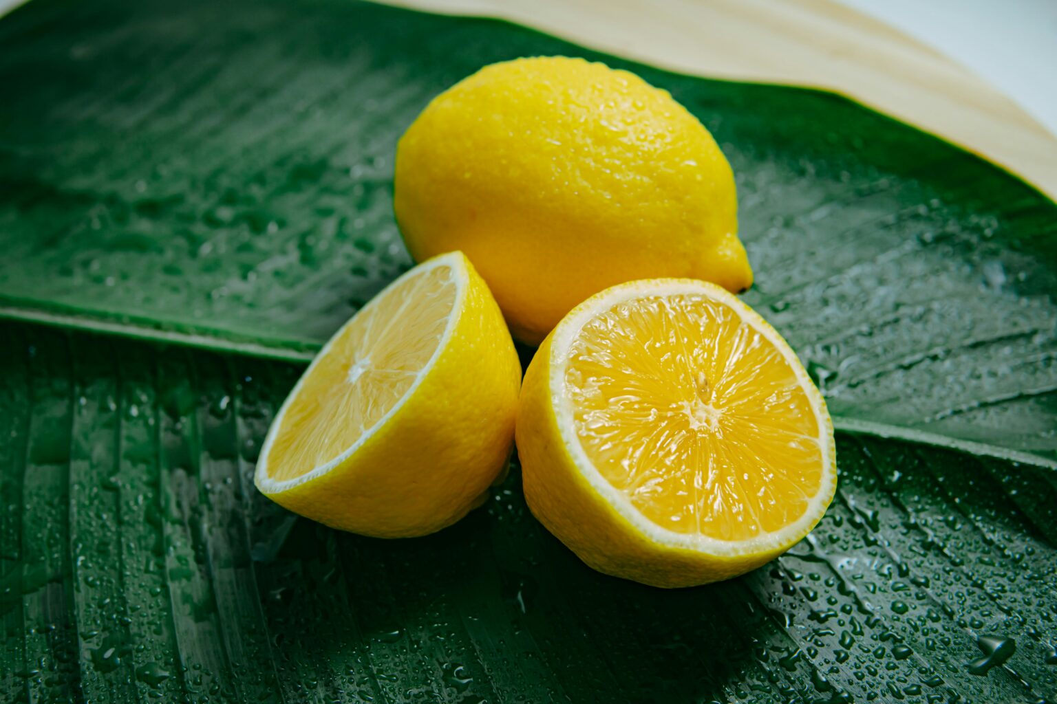 han-lahandoe-y_spQMQTFjs-unsplash han-lahandoe-y_spQMQTFjs-unsplash