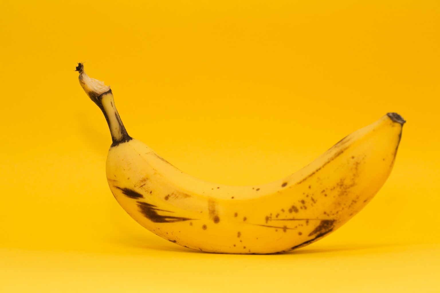 markus-spiske-vPGJ2fMsWkQ-unsplash markus-spiske-vPGJ2fMsWkQ-unsplash