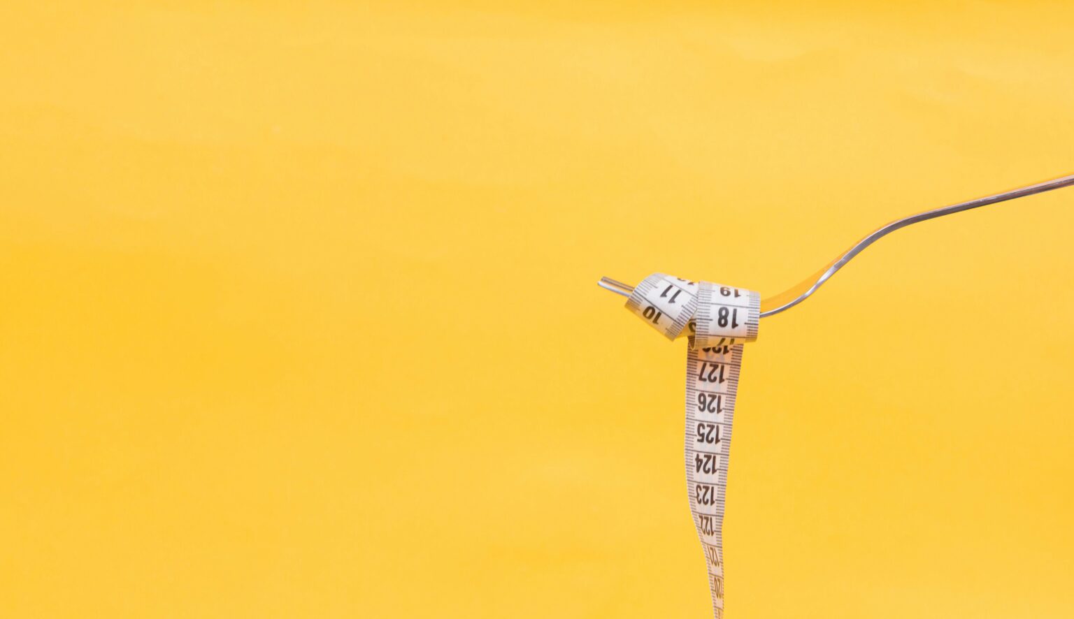 diana-polekhina-OpB7gkQY9oc-unsplash diana-polekhina-OpB7gkQY9oc-unsplash