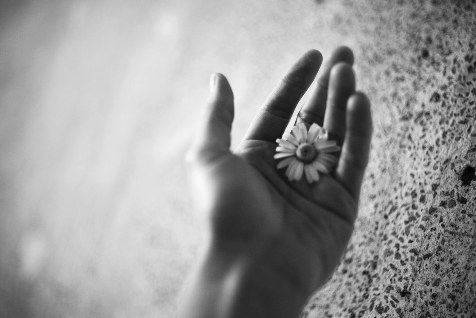 liana-s-7cjKTyIIm7M-unsplash liana-s-7cjKTyIIm7M-unsplash