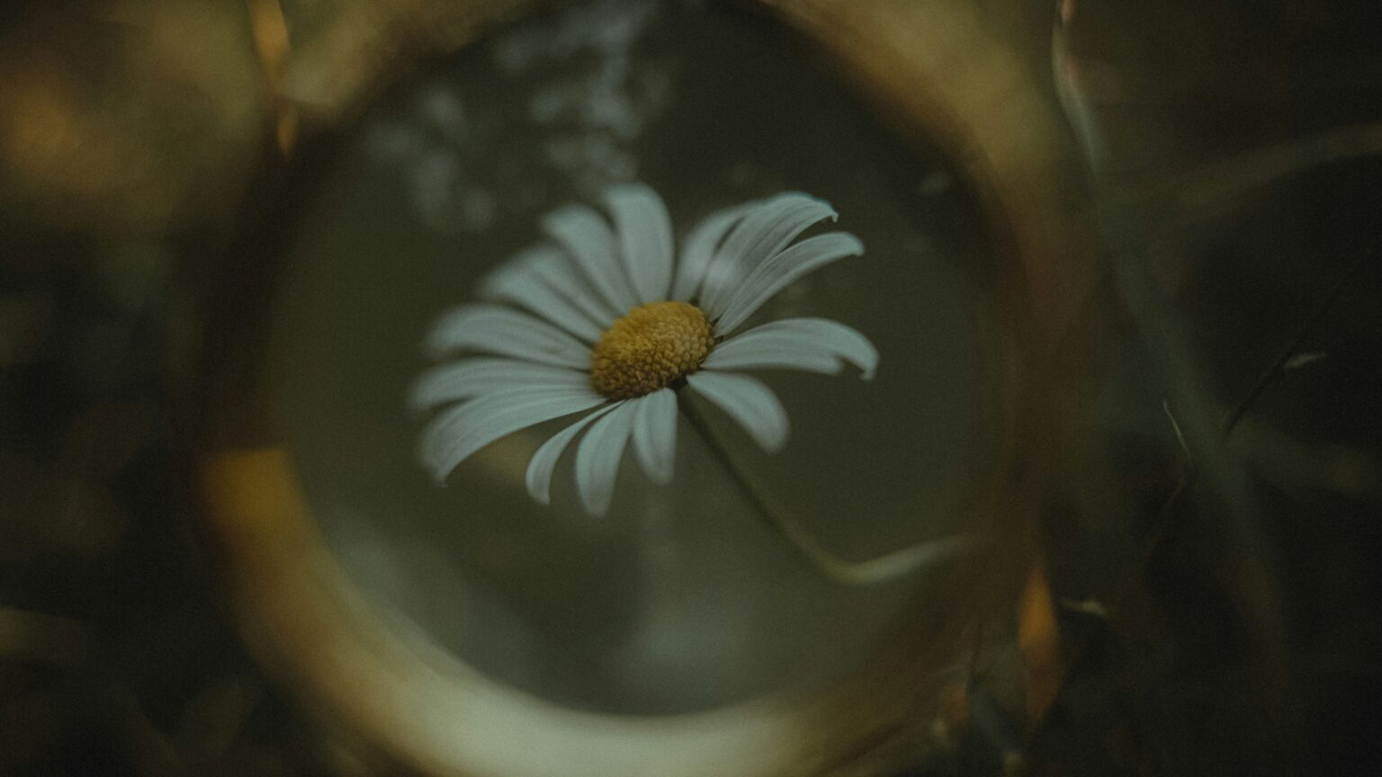 vasilina-sirotina-Ck1QlFUKBsU-unsplash vasilina-sirotina-Ck1QlFUKBsU-unsplash