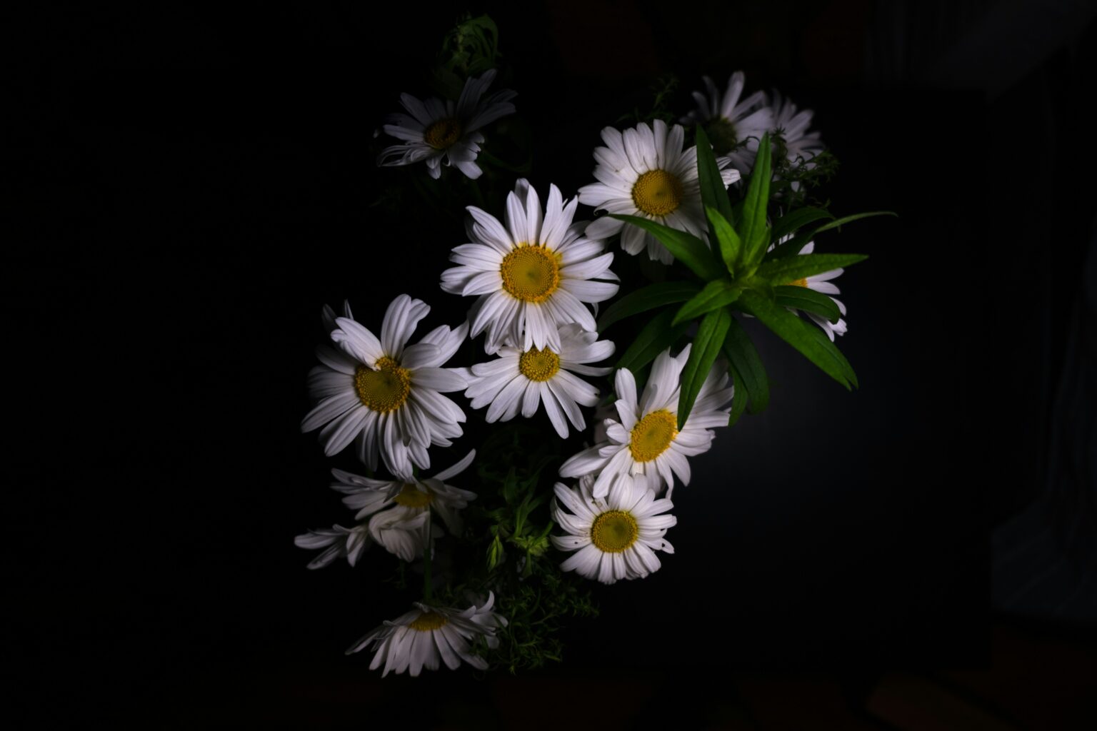 semyon-borisov-U25mGbodbIk-unsplash semyon-borisov-U25mGbodbIk-unsplash