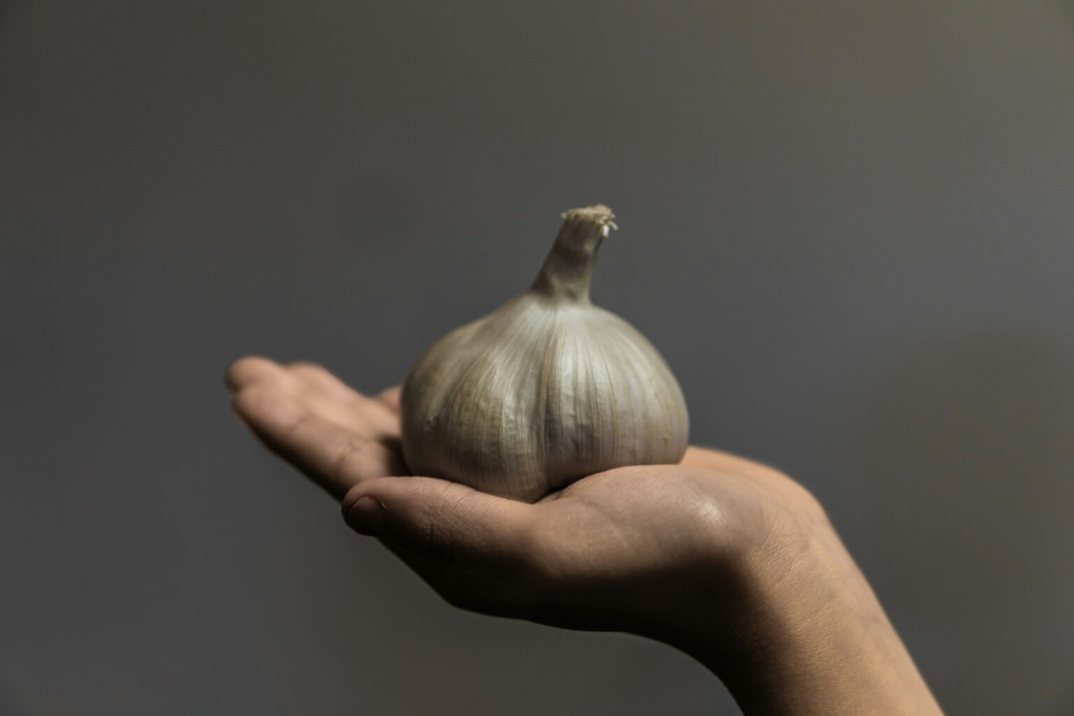 akinori-uemura-baSxahvkNr0-unsplash akinori-uemura-baSxahvkNr0-unsplash