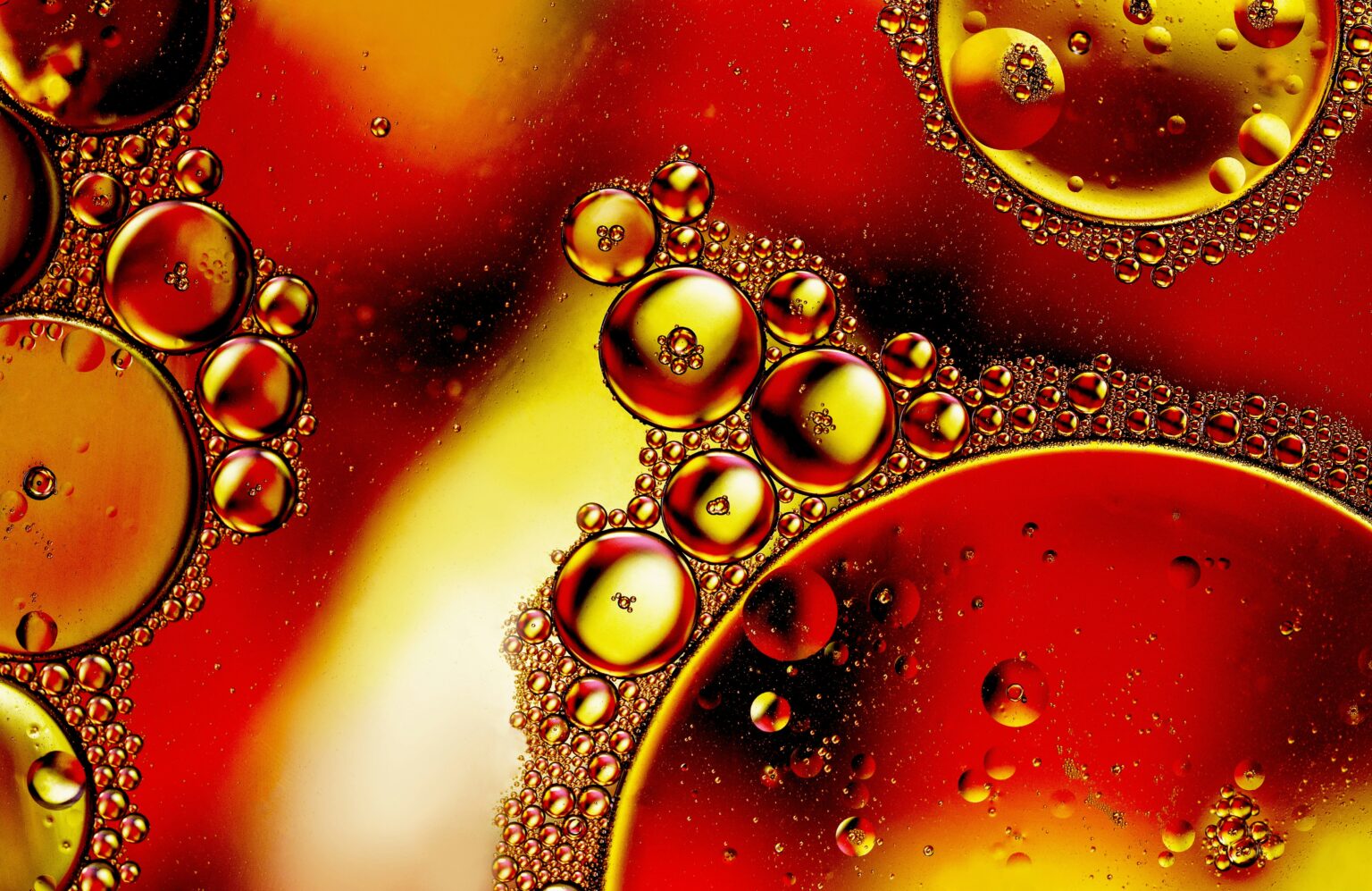 david-clode-vOksLd-TRxE-unsplash david-clode-vOksLd-TRxE-unsplash