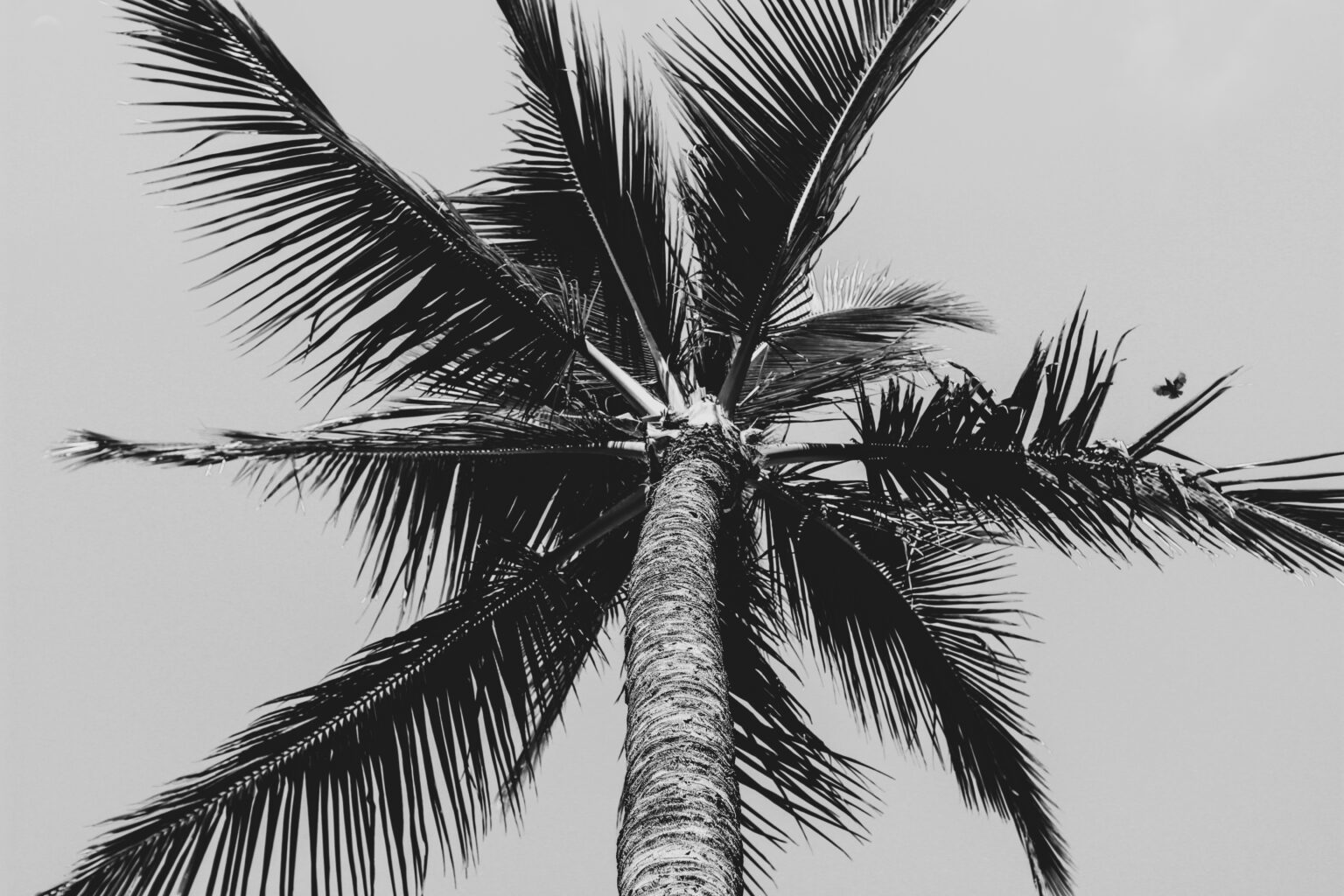 lauren-rader-pN2LMKEgWtk-unsplash