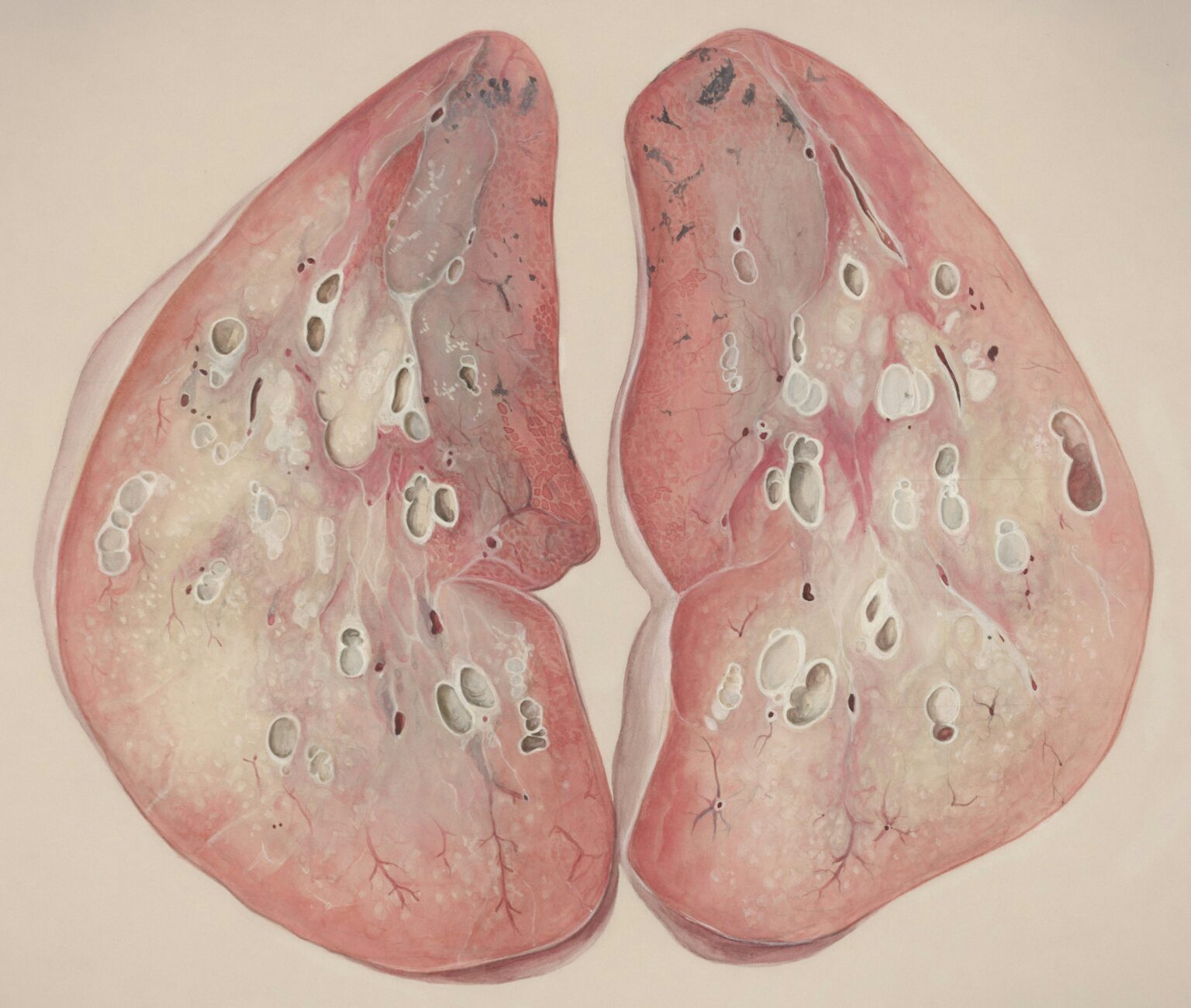 europeana-2u5pVvlnAlc-unsplash europeana-2u5pVvlnAlc-unsplash