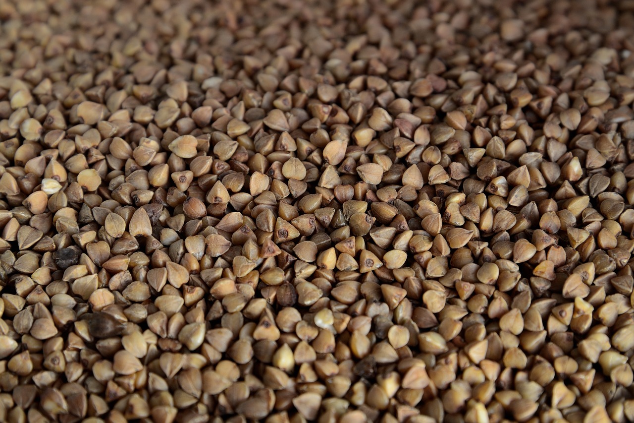 buckwheat-1641941_1280 buckwheat-1641941_1280