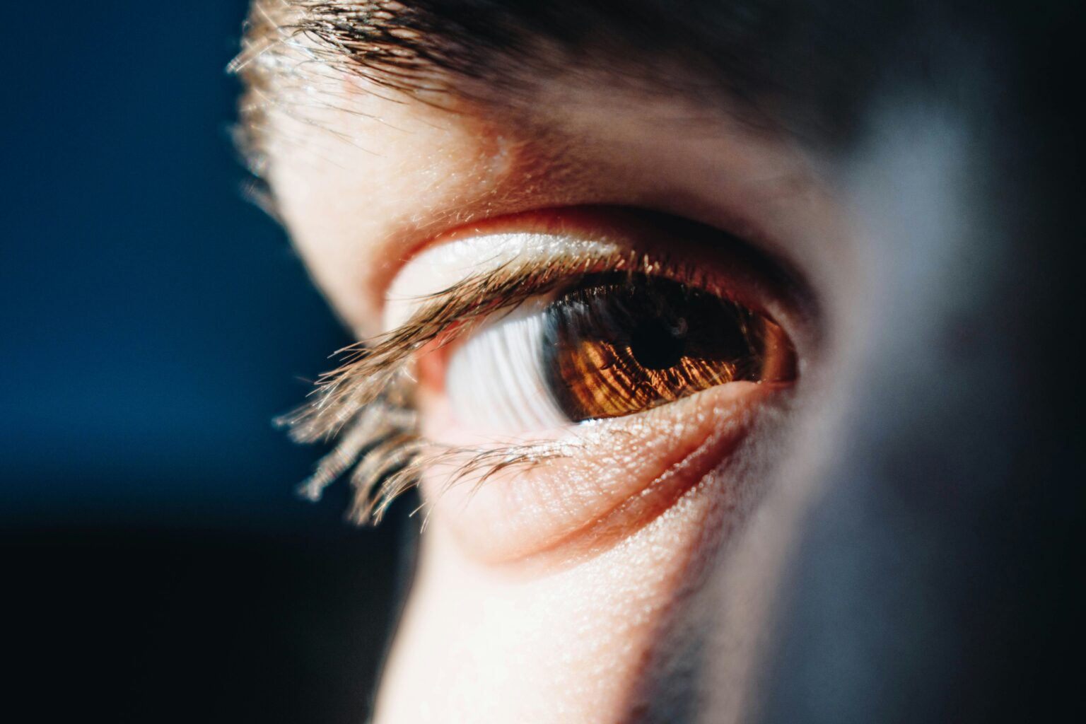 bacila-vlad-WTThc6UmwEI-unsplash bacila-vlad-WTThc6UmwEI-unsplash