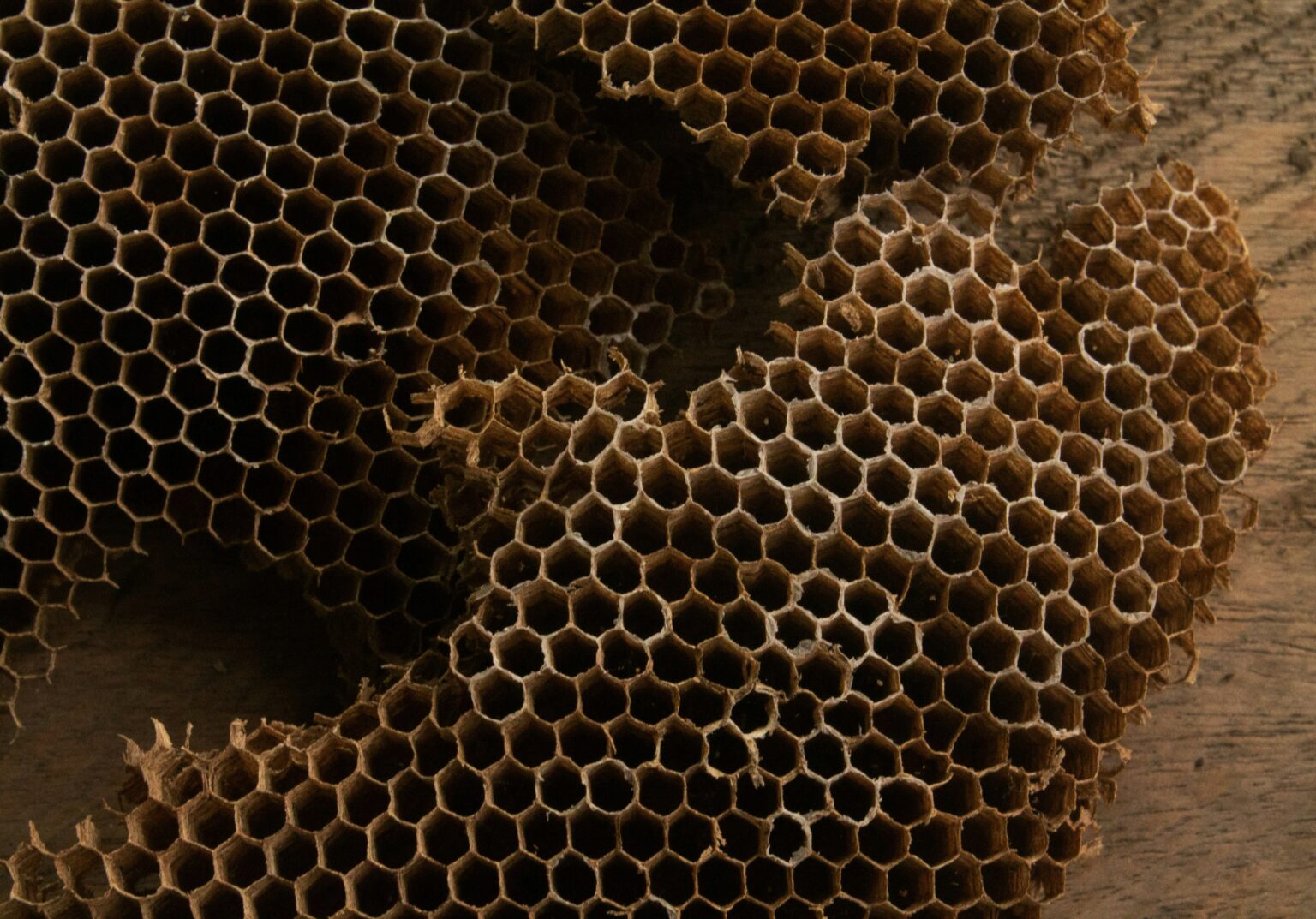 maria-espitia-Auvu4keSmi4-unsplash maria-espitia-Auvu4keSmi4-unsplash