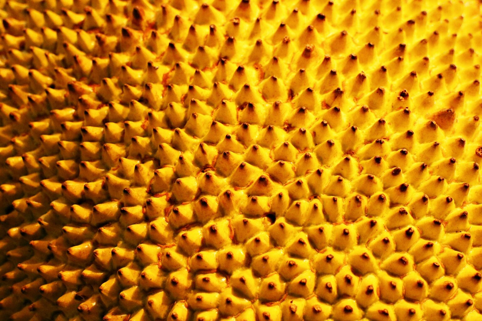 dagny-reese-TXlclVn3WoE-unsplash dagny-reese-TXlclVn3WoE-unsplash