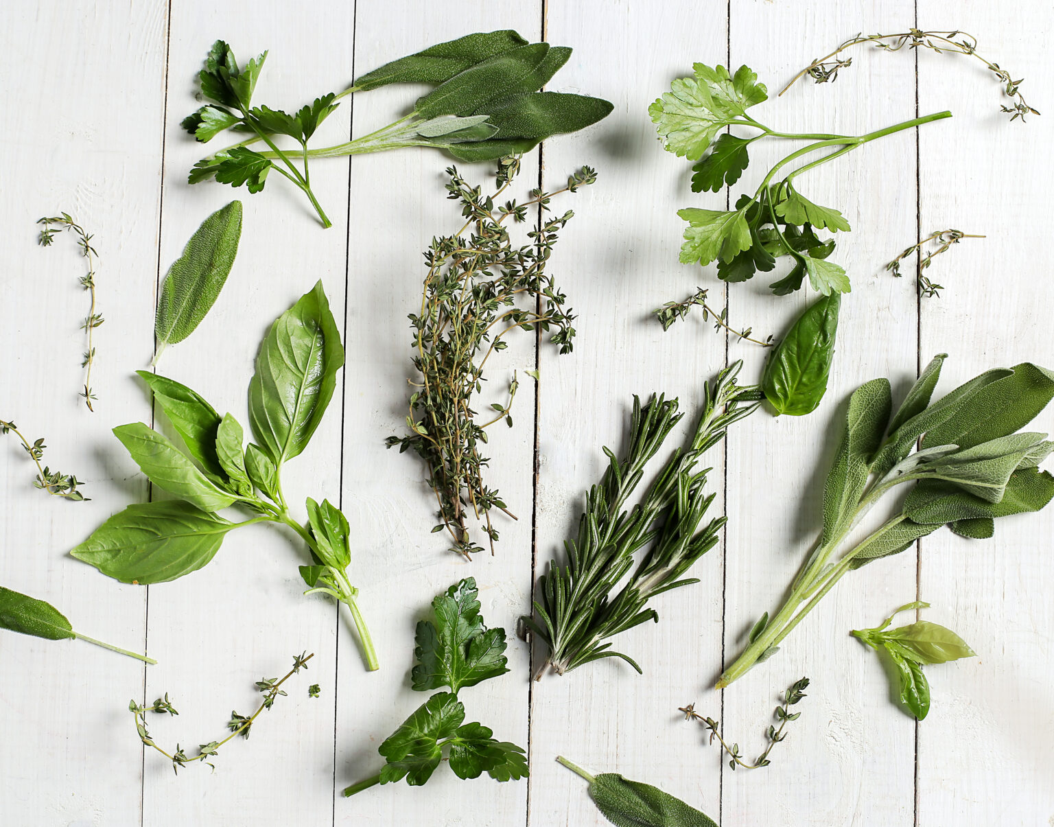 Herbs Herbs