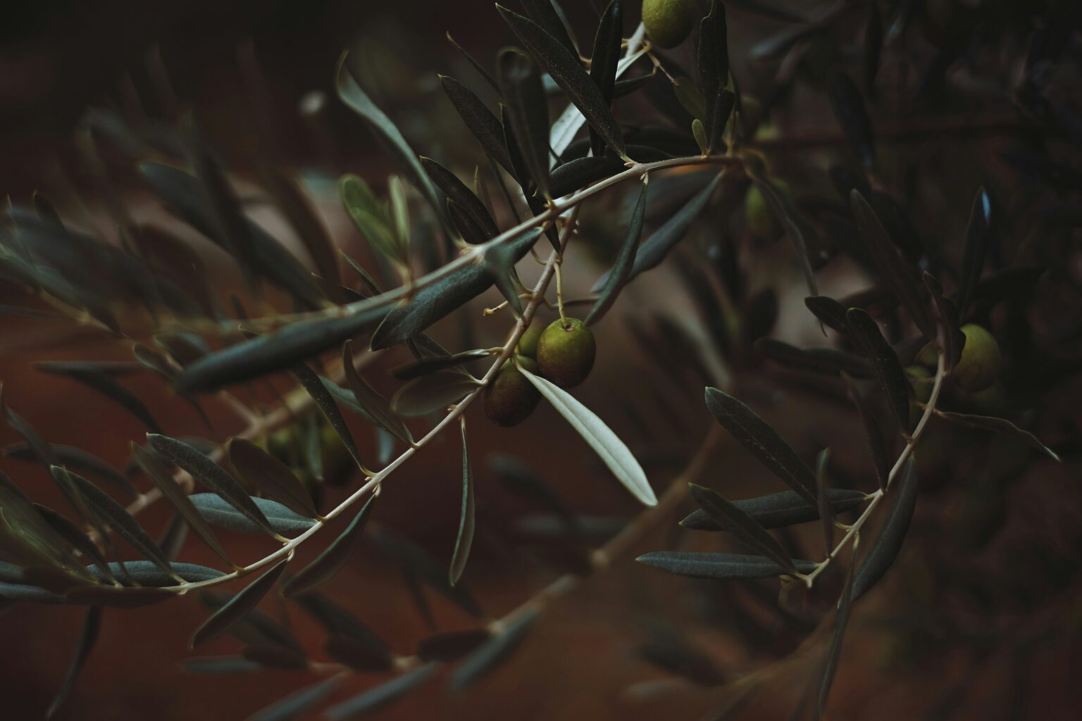 emre-iRVq6avVGDE-unsplash emre-iRVq6avVGDE-unsplash