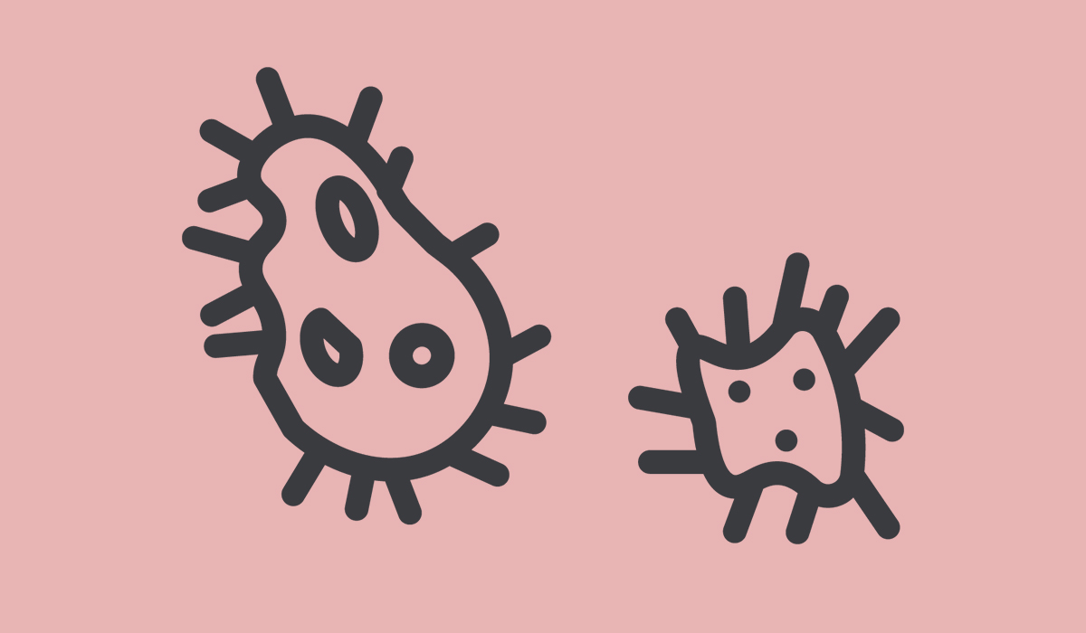 Parasites: What Are, Types, Parasitic Infections, and Treatment