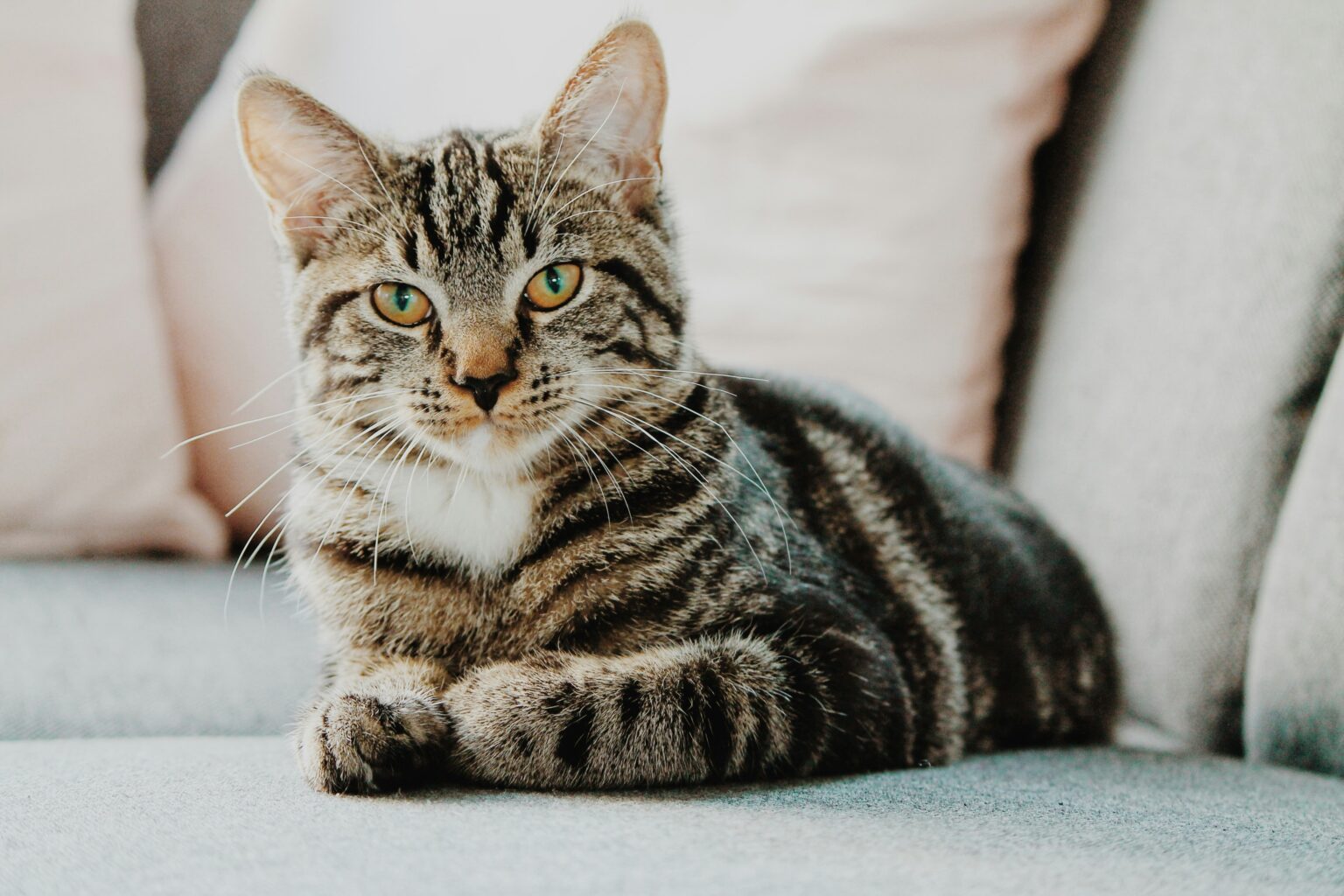erik-jan-leusink-IbPxGLgJiMI-unsplash erik-jan-leusink-IbPxGLgJiMI-unsplash