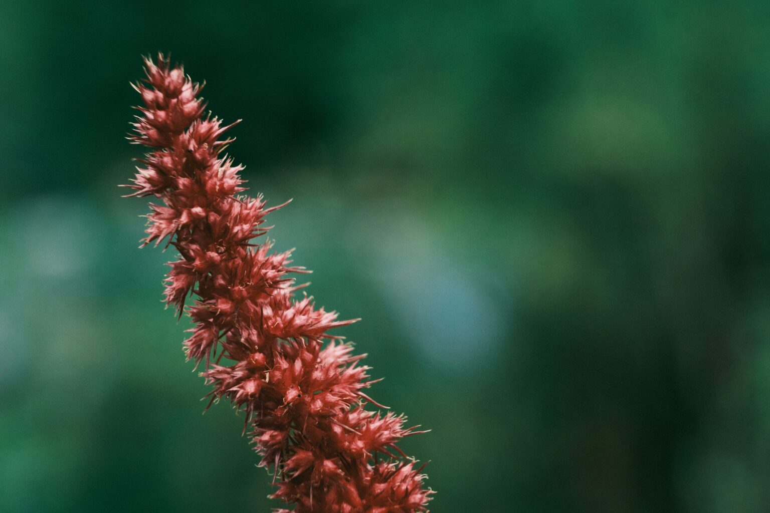 theotim-thoron-6aNPxJ6igpc-unsplash theotim-thoron-6aNPxJ6igpc-unsplash
