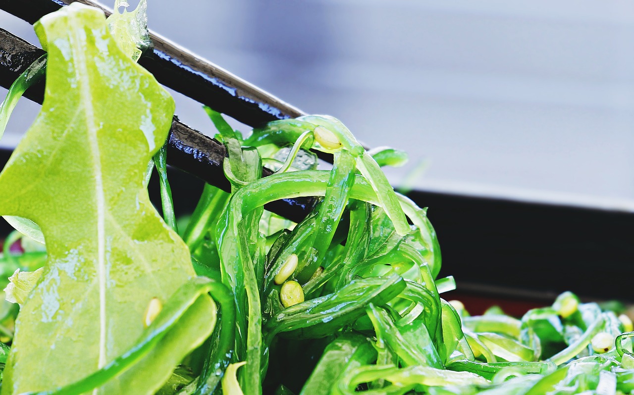 salad-4343738_1280 salad-4343738_1280